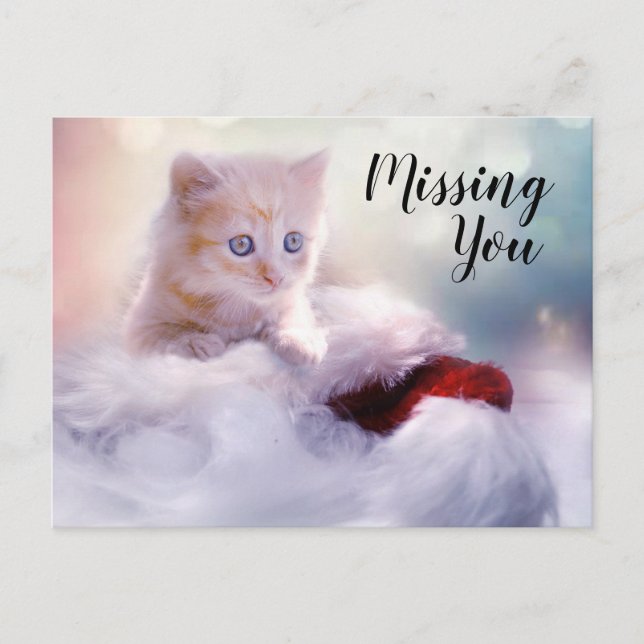 Kitten Postcard (Front)
