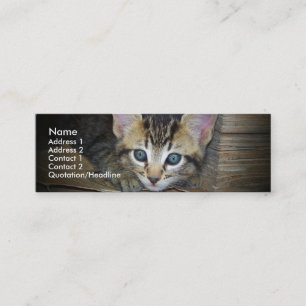 Kitten Profile Card