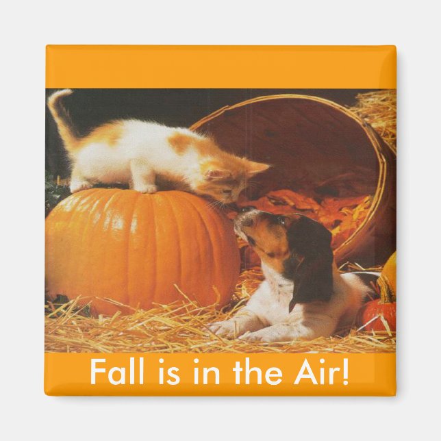 Kitten, Pumpkin and Puppy Magnet (Front)