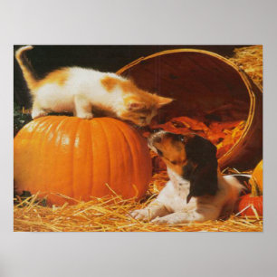 Kitten, Pumpkin and Puppy Print