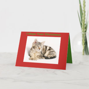 KITTEN PURRFECT CHRISTMAS HOLIDAY CARD
