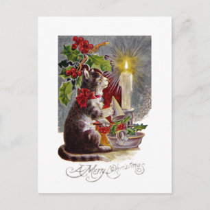 Kitten Putting Out a Candle Postcard