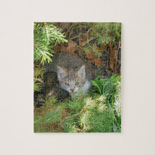 Kitten Puzzle