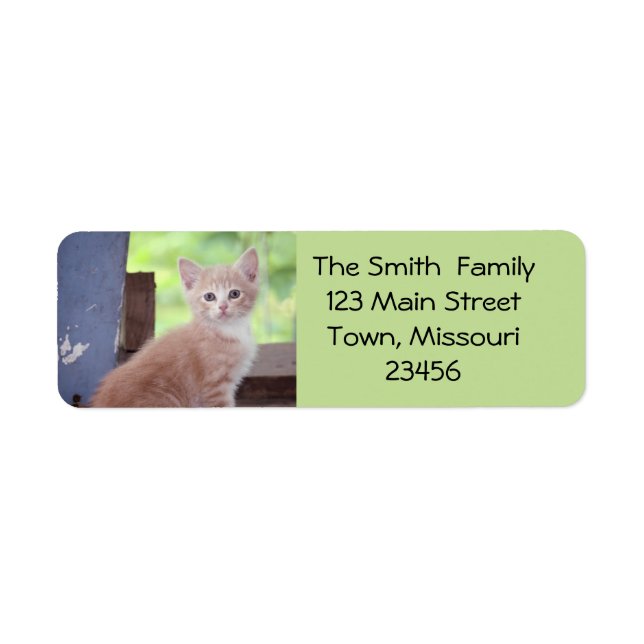 Kitten Return Address Label (Front)