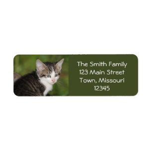 Kitten Return Address Label