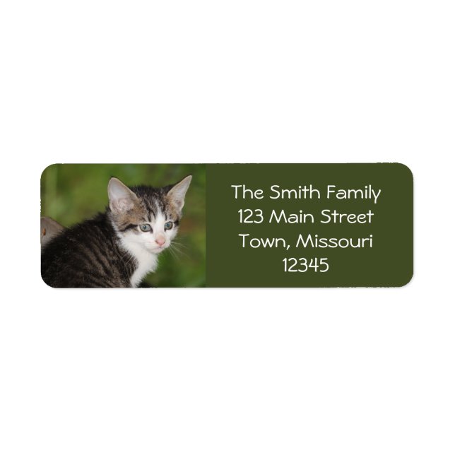 Kitten Return Address Label (Front)