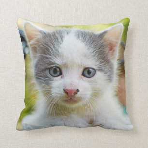 Kitten Rides A Bike Cushion
