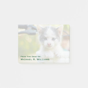 Kitten Rides A Bike Post-it Notes