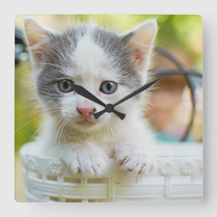 Kitten Rides A Bike Square Wall Clock