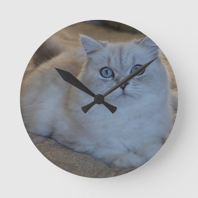 kitten round clock (Front)