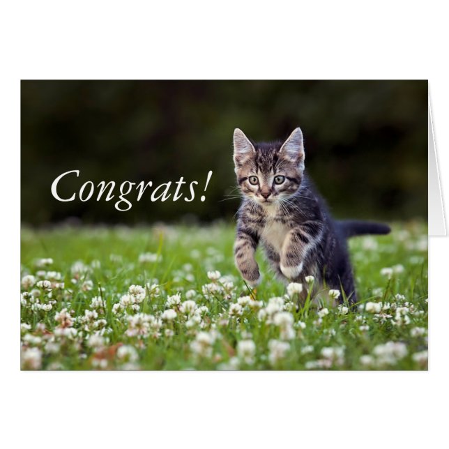 Kitten Running Through Clover (Front Horizontal)