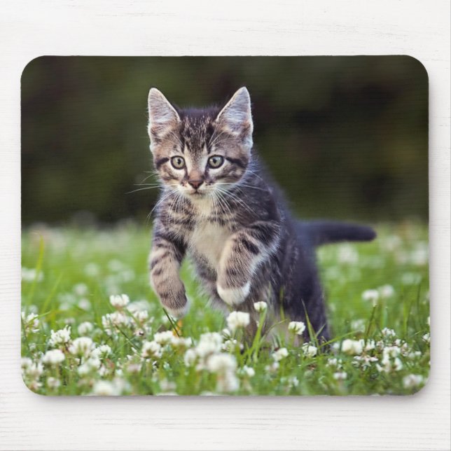 Kitten Running Through Clover Mouse Pad (Front)