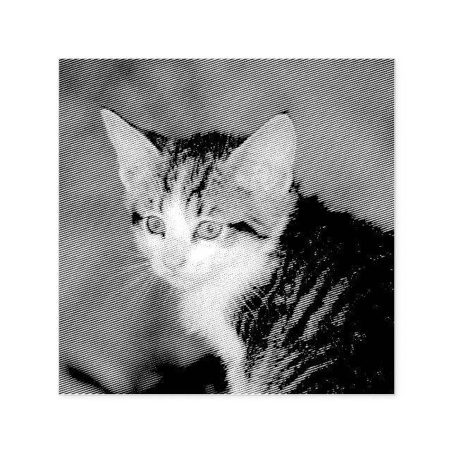 Kitten Self-inking Stamp (Design)