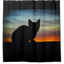Kitten Silhouette Sunset Sky
