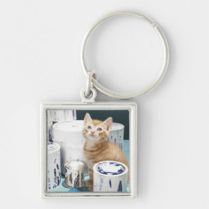 Kitten sitting amongst paint tins key ring
