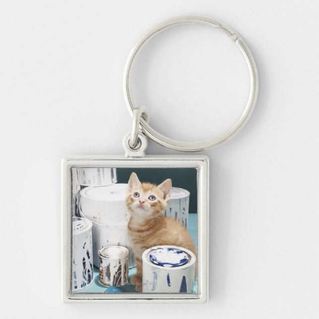 Kitten sitting amongst paint tins key ring (Front)