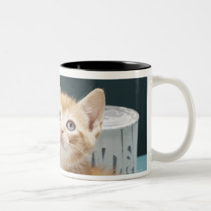 Kitten sitting amongst paint tins Two-Tone coffee mug