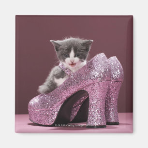Kitten sitting in glitter shoes magnet
