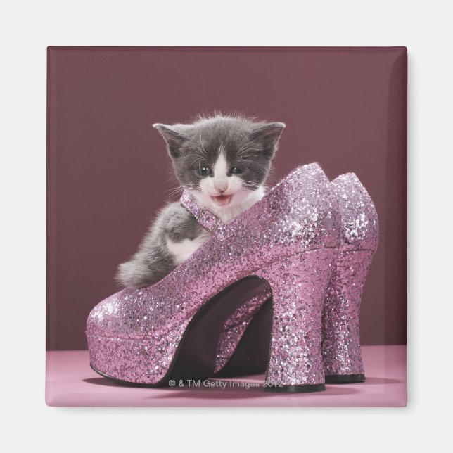 Kitten sitting in glitter shoes magnet (Front)
