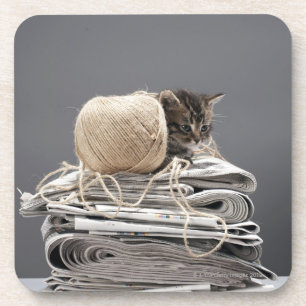 Kitten sitting on pile of newspapers coaster