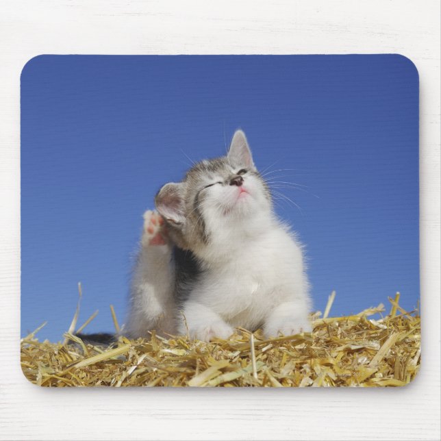 Kitten sitting on straw, scratching, close-up mouse pad (Front)