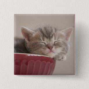 Kitten Sleeping In A Bowl 15 Cm Square Badge