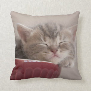 Kitten Sleeping In A Bowl Cushion