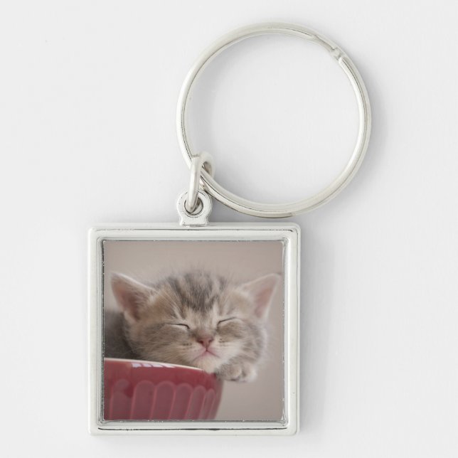 Kitten Sleeping In A Bowl Key Ring (Front)