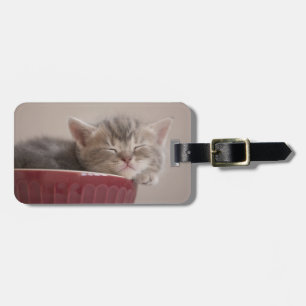 Kitten Sleeping In A Bowl Luggage Tag