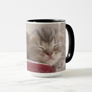 Kitten Sleeping In A Bowl Mug