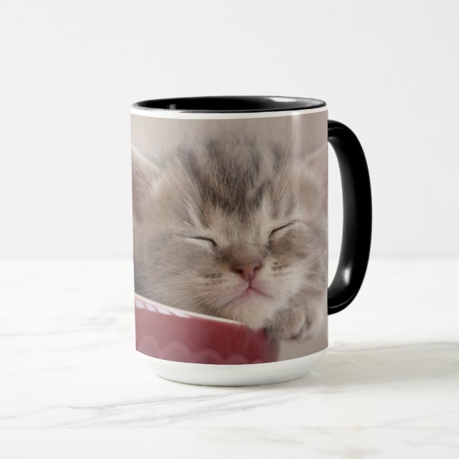 Kitten Sleeping In A Bowl Mug (Front Right)