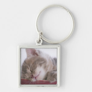 Kitten Sleeping in Bowl 2 Key Ring