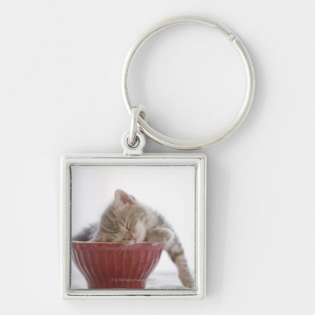 Kitten Sleeping in Bowl Key Ring (Front)