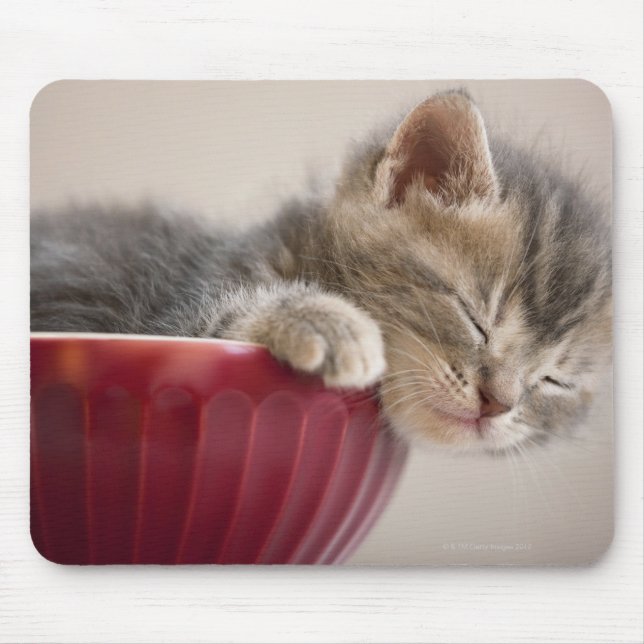 Kitten Sleeping in Bowl Mouse Pad (Front)