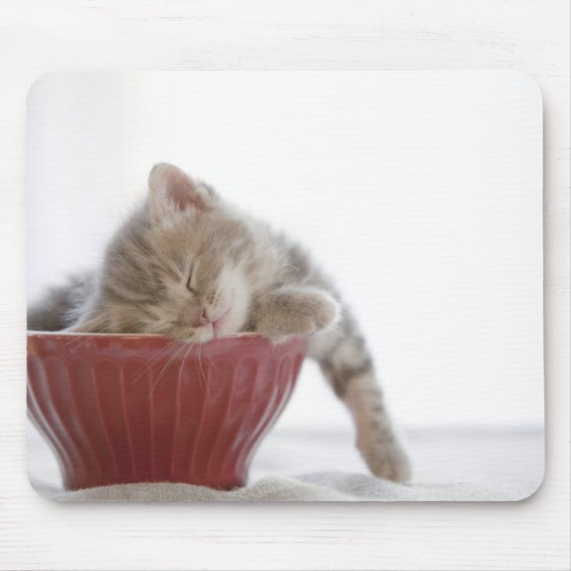 Kitten Sleeping in Bowl Mouse Pad (Front)