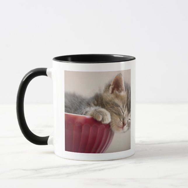 Kitten Sleeping in Bowl Mug (Left)