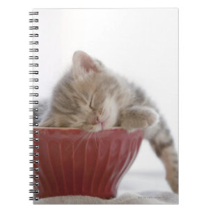 Kitten Sleeping in Bowl Notebook