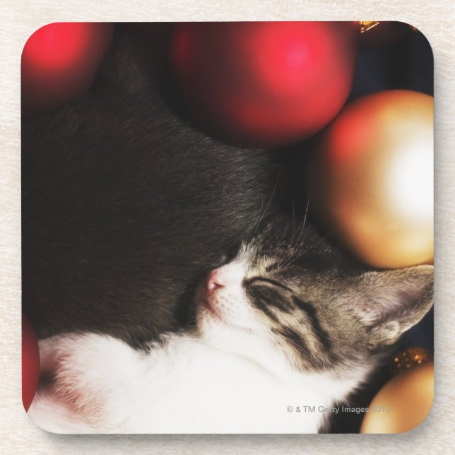 Kitten sleeping in decorations coaster (Front)