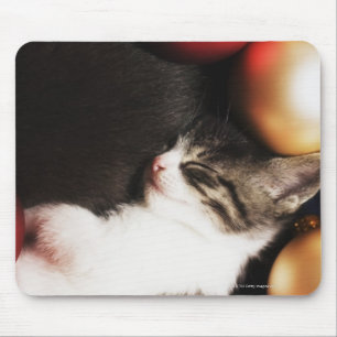 Kitten sleeping in decorations mouse pad