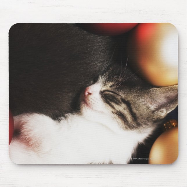 Kitten sleeping in decorations mouse pad (Front)