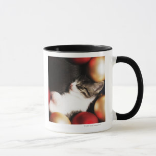 Kitten sleeping in decorations mug
