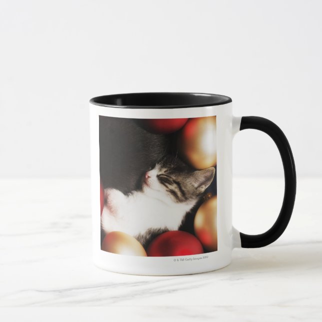 Kitten sleeping in decorations mug (Right)