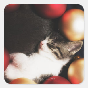 Kitten sleeping in decorations square sticker