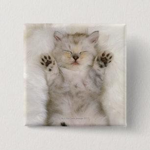 Kitten Sleeping on a White Fluffy Carpet, High 15 Cm Square Badge