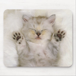 Kitten Sleeping on a White Fluffy Carpet, High Mouse Pad