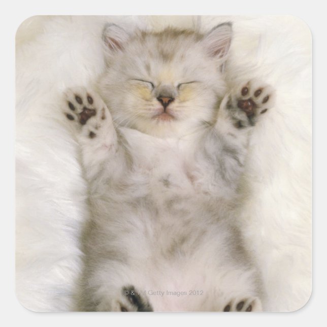 Kitten Sleeping on a White Fluffy Carpet, High Square Sticker (Front)