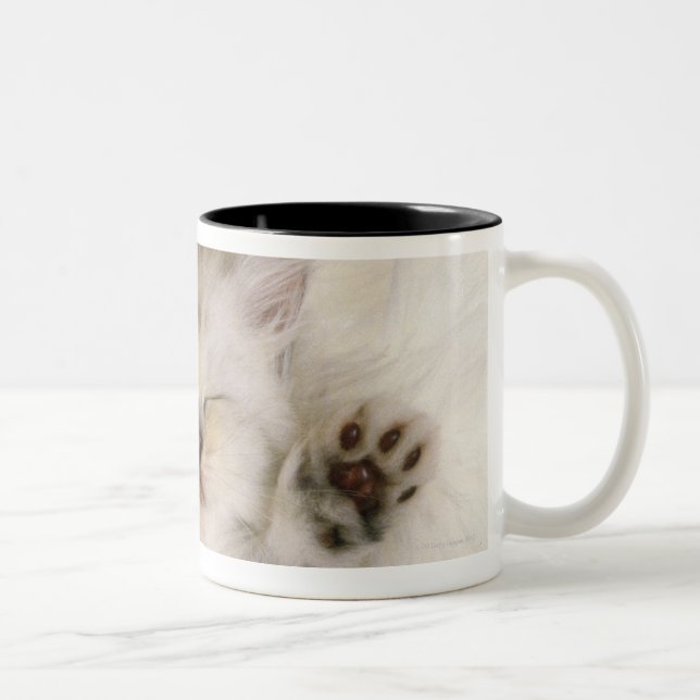 Kitten Sleeping on a White Fluffy Carpet, High Two-Tone Coffee Mug (Right)