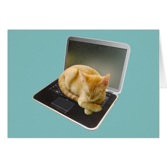 Kitten Sleeping on Laptop (Front Horizontal)