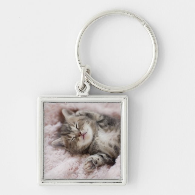 Kitten Sleeping on Towel Key Ring (Front)