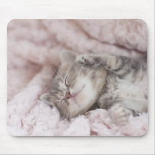 Kitten Sleeping on Towel Mouse Pad